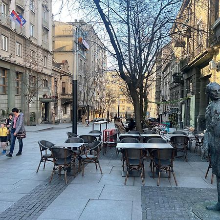 Central Sky View Apartment Belgrad Dış mekan fotoğraf