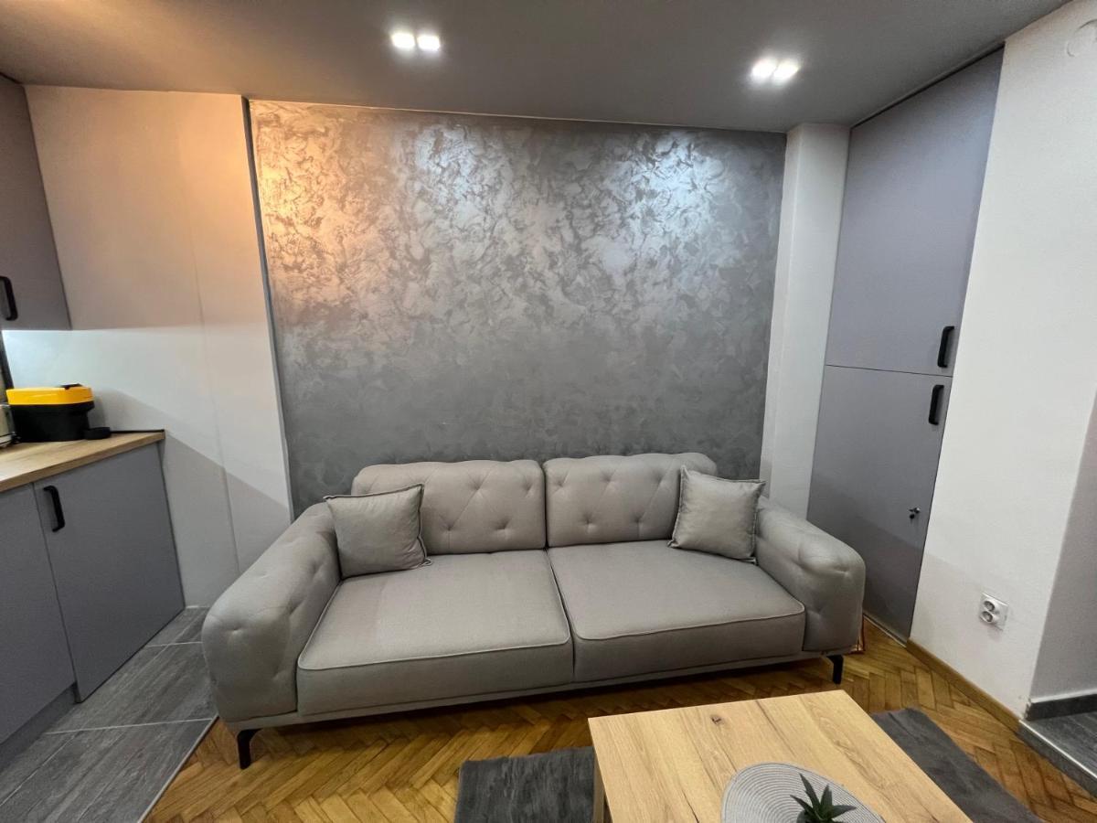 Central Sky View Apartment Belgrad Dış mekan fotoğraf